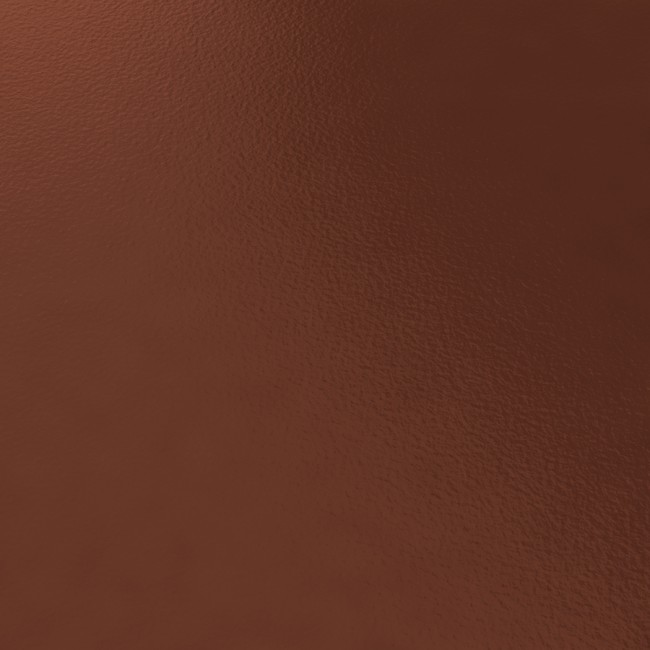 RR 29 RR 29