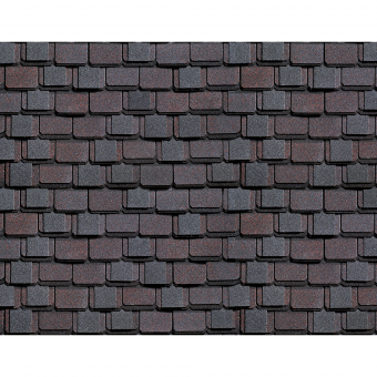 Континент Азия