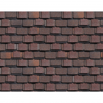 Континент Америка Континент Америка