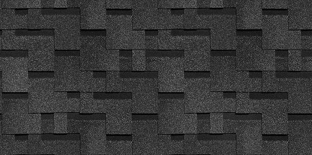 ГЕНУЯ ЕЖЕВИКА