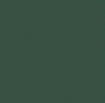 RAL 6005 RAL 6005
