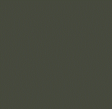 RAL 6007 RAL 6007