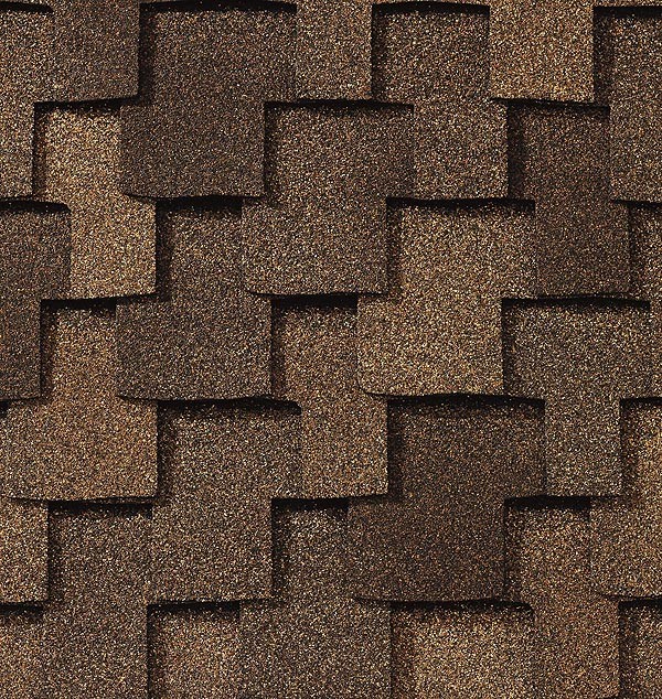 Cedar Cedar