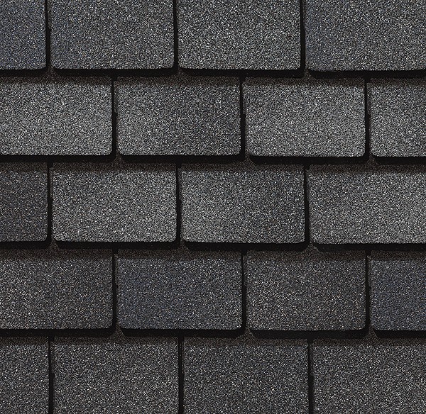 Welsh Gray Welsh Gray