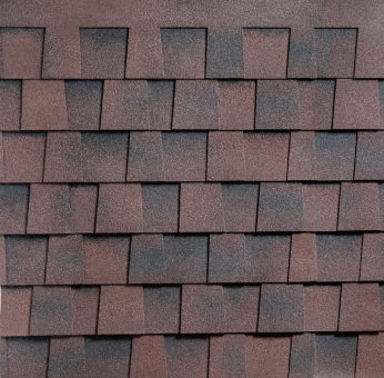 Mansion New Katepal Mansion New Katepal