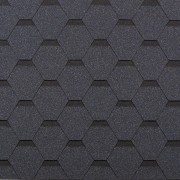 Самба Шунгит